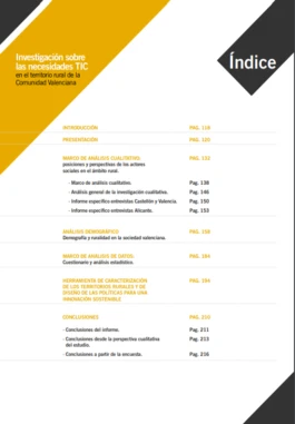 Índice Necesidades de las TIC en el territorio rural de la Comunidad Valenciana